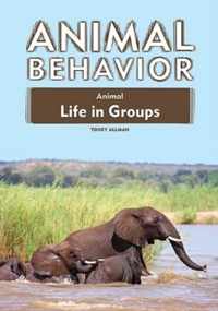 Animal Life in Groups