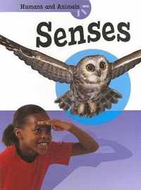 Senses