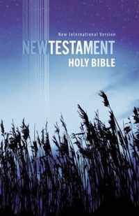 NIV new testament