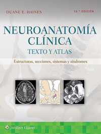 Neuroanatomia clinica