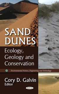 Sand Dunes