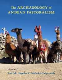 The Archaeology of Andean Pastoralism