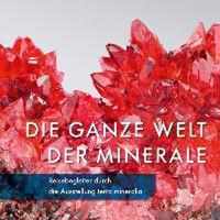 Die Ganze Welt Der Minerale