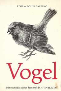 Vogel