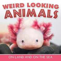 Weird Looking Animals On Land and On The Sea