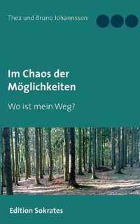 Im Chaos der Moeglichkeiten