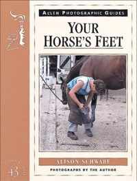 Your Horses Feet