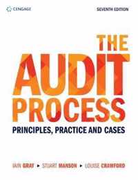 The Audit Process