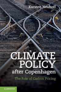 Climate Policy after Copenhagen