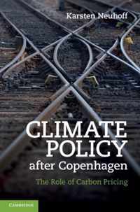 Climate Policy After Copenhagen