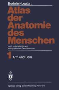 Atlas Der Anatomie Des Menschen