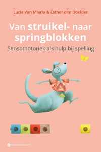 Van struikel- naar springblokken