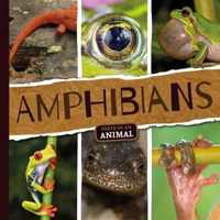 Amphibians