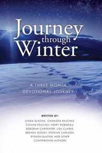 Journey through Winter