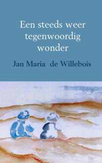 Een steeds weer tegenwoordig wonder - Jan Maria de Willebois - Paperback (9789402130416)