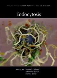 Endocytosis