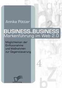 Business-to-Business Markenfuhrung im Web 2.0