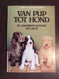 Van pup tot hond