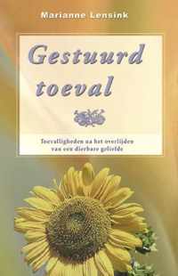 Gestuurd toeval