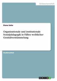 Organisationale und institutionale Sozialpadagogik in Fallen weiblicher Genitalverstummelung