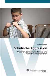 Schulische Aggression