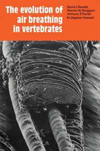 The Evolution of Air Breathing in Vertebrates