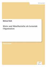 Klein- und Mittelbetriebe als Lernende Organisation