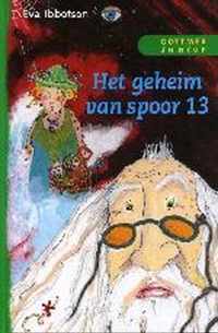 Het Geheim Van Spoor 13