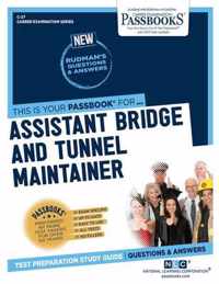 Assistant Bridge and Tunnel Maintainer