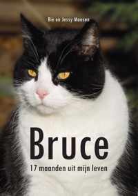 Bruce