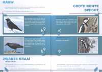 Horizontaal. studiekeuze als ontdekking - vogelgids