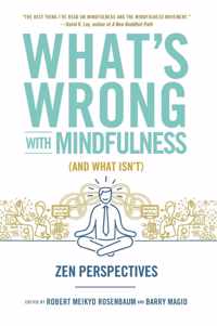 What's Wrong with Mindfulness (and What Isn't)