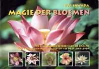 Magie Der Bloemen