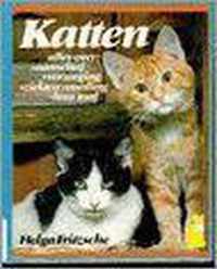 Katten