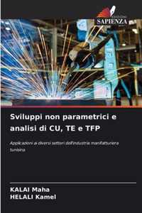 Sviluppi non parametrici e analisi di CU, TE e TFP