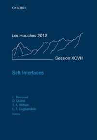 Soft Interfaces: Lecture Notes of the Les Houches Summer School