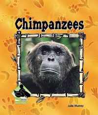 Chimpanzees