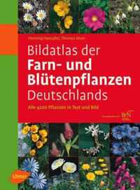 Bildatlas Der Farn- Und Blutenpflanzen Deutschlands