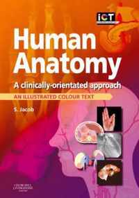 Human Anatomy