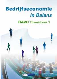 Bedrijfseconomie in Balans havo theorieboek 1