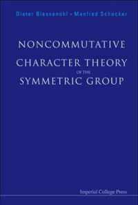 Noncommutative Character Theory Of The Symmetric Group