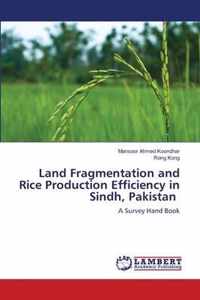 Land Fragmentation and Rice Production Efficiency in Sindh, Pakistan