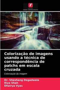 Colorizacao de imagens usando a tecnica de correspondencia de patchs em escala cruzada