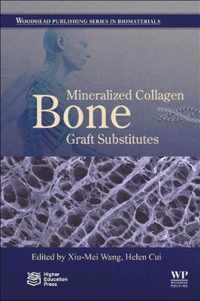 Mineralized Collagen Bone Graft Substitutes