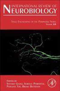 Tissue Engineering Of The Peripheral Nerve