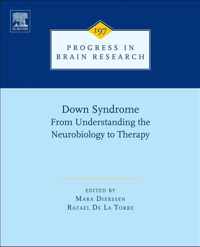 Down Syndrome: From Understanding the Neurobiology to Therapy