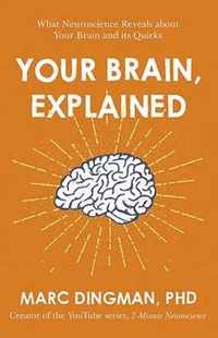 Your Brain, Explained