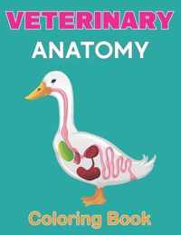 Veterinary Anatomy Coloring Book