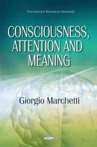 Consciousness, Attention & Meaning