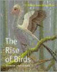 The Rise of Birds